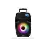 Baffle amplifiée 12" rechargeable USB SD FM Micro Bluetooth VISTA