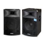 Baffle amplifié 15" USB FM Micro Radio Bluetooth VISTA