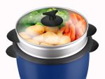 Rice cooker 1.8L couvercle en verre Rose Gold/Bleu/Noir VISTA – Image 4